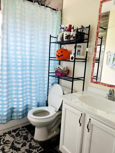 Room In Citrus Park And Carollwood, Close To The Airport & Downtown Tampa Zewnętrze zdjęcie