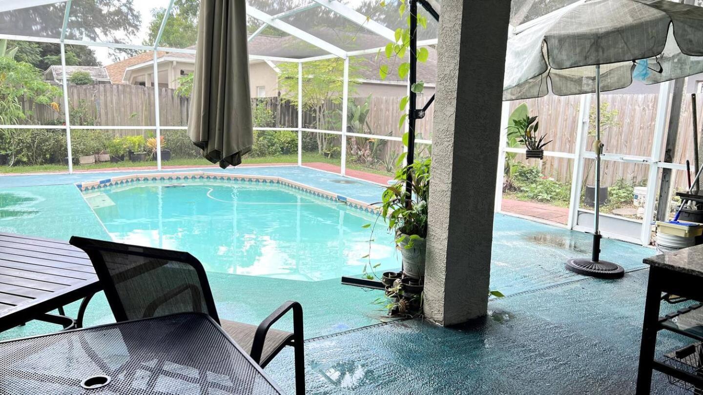 Room In Citrus Park And Carollwood, Close To The Airport & Downtown Tampa Zewnętrze zdjęcie