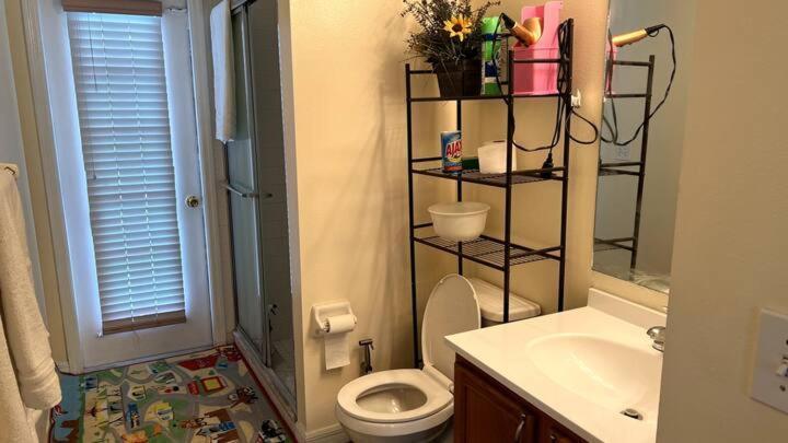Room In Citrus Park And Carollwood, Close To The Airport & Downtown Tampa Zewnętrze zdjęcie